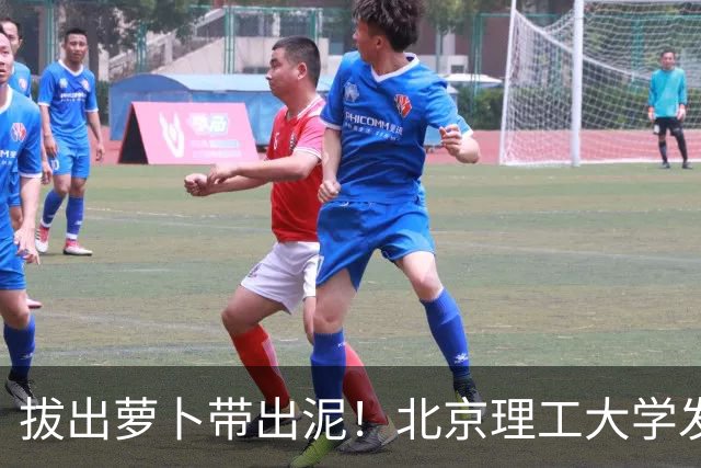 拔出萝卜带出泥！北京理工大学发布通告，3个决定！裴某彻底完了