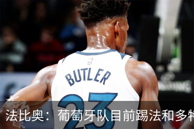 法比奥：葡萄牙队目前踢法和多特相似，我很期待接下来的训练